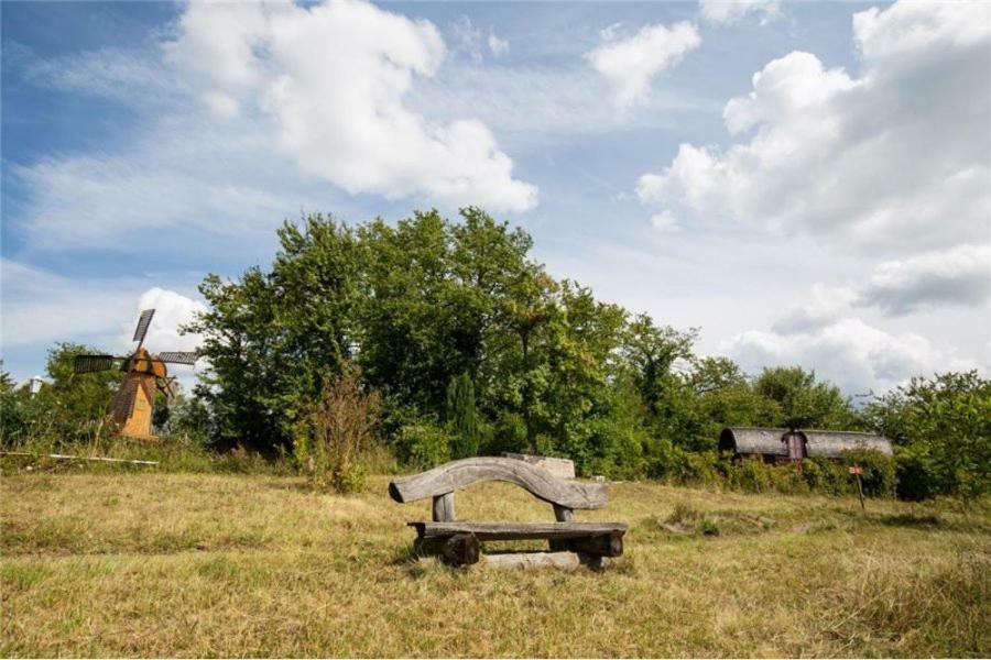 Le Chalet Du Chemin Et Sa Roulotte Berviller-en-Moselle Buitenkant foto