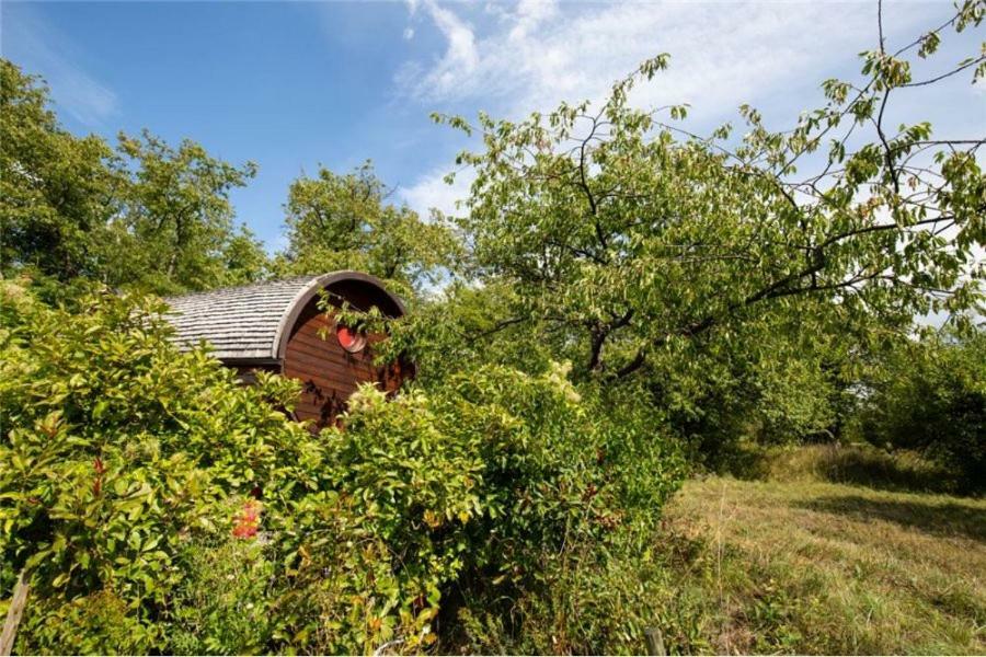 Le Chalet Du Chemin Et Sa Roulotte Berviller-en-Moselle Buitenkant foto