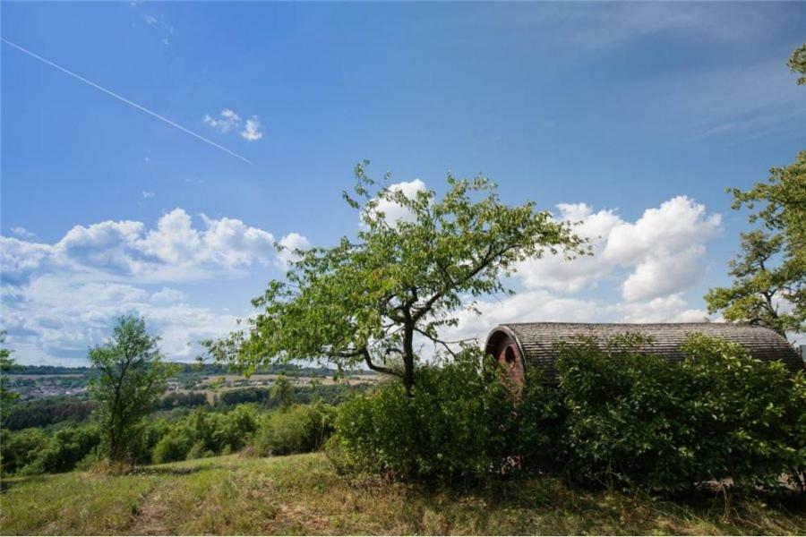Le Chalet Du Chemin Et Sa Roulotte Berviller-en-Moselle Buitenkant foto